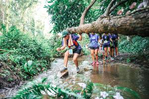 BIB: 
                            <button type="button" onclick="openModal(25515868)" class="btn btn-primary btn-sm float-right btn-popup" data-toggle="modal" data-target=".modal-high-quality">
                        <i class="fas fa-shopping-cart"></i> Add to Cart
                    </button>
                                            <button type="button" onclick="isThisMe(25515868, true)" class="btn btn-success btn-sm float-right btn-popup btn-isme hidden" data-toggle="tooltip" data-placement="bottom" title="นี่คือรูปของคุณใช่ไหม คลิกที่นี่เพื่อเอาเข้าอัลบั้ม">
                        <i class="fas fa-plus"></i> Add to album
                    </button>
                    <button type="button" onclick="isThisMe(25515868, false)" class="btn btn-warning btn-sm float-right btn-popup btn-isnotme hidden">
                        <i class="fas fa-ban"></i> Remove from album
                    </button>